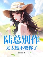 《陆总别作,太太她不要你了》时念陆衍止txt完整版免费阅读