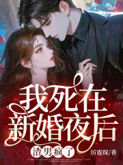 《我死在新婚夜后,渣男疯了》苏菀陆时晏txt免费版
