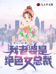 《我老婆是绝色女总裁》苏晨周晚秋全章悦读