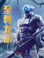 《至尊龙帝》陆鸣陆瑶完本全篇大结局